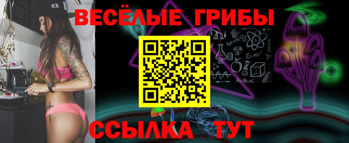 Псилоцибиновые грибы Psilocybine cubensis  Галлюциногенные грибы Psilocybe  Вход с VPN  Лесосибирск 