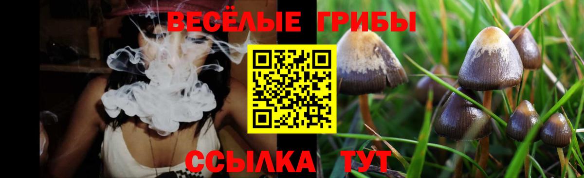 Псилоцибиновые грибы мицелий Лесосибирск